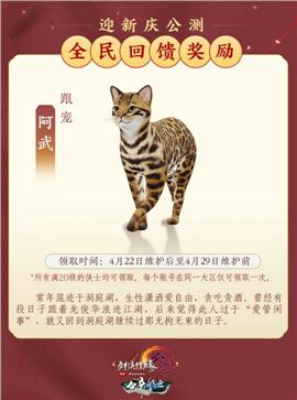 天龙八部私服武神决